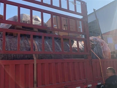BZ Kalite Pillar Jib Crane Pou Ekwatè